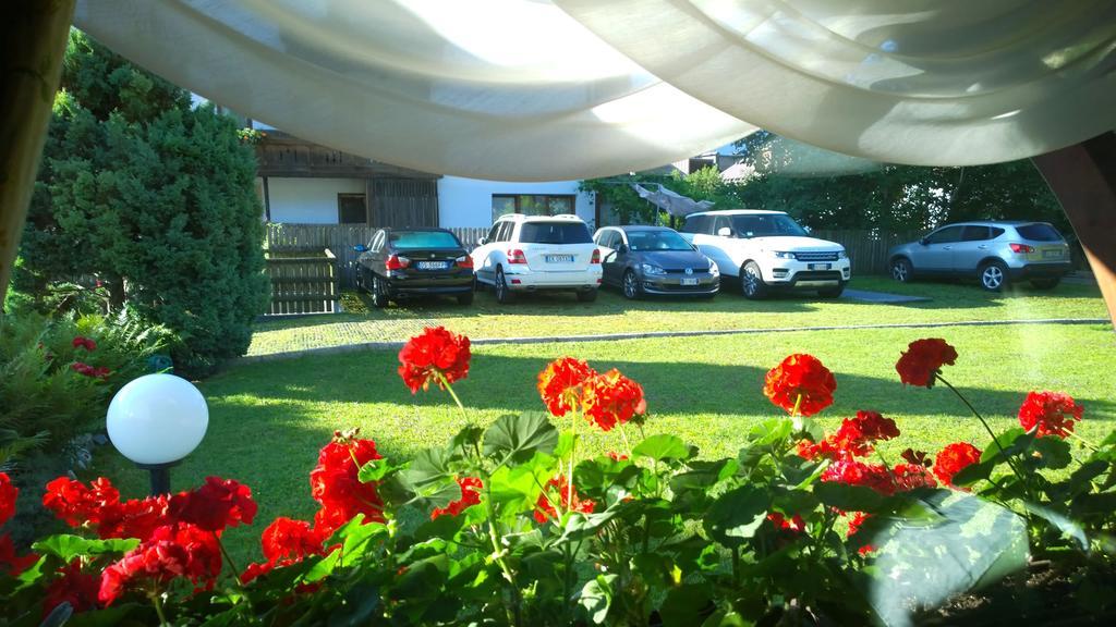 La Felce Bed & Breakfast Carisolo Extérieur photo